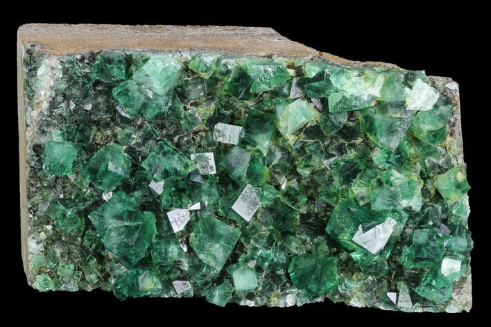 Green, Fluorescent Fluorite Cluster - Rogerley Mine #99454